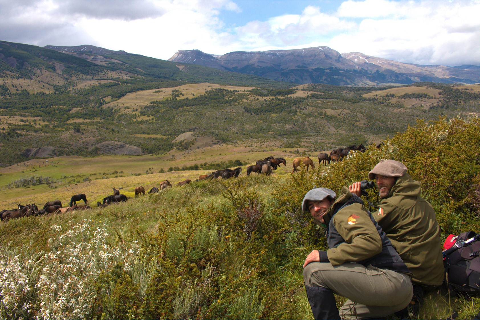Caballos Torres del Paine Patagonia Bagual