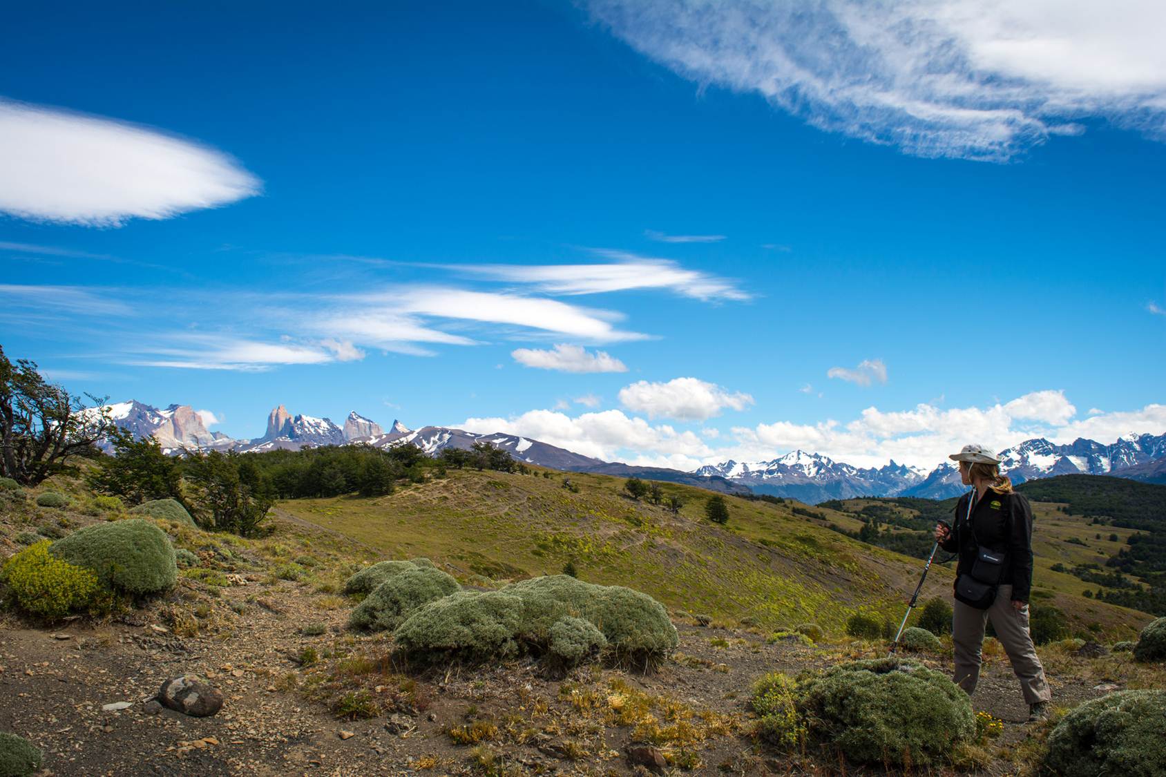 Caballos Torres del Paine Patagonia Bagual