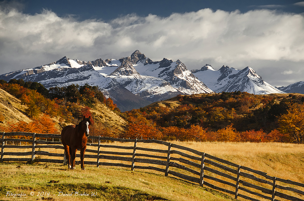 Estancias patagonicas Torres del Paine 